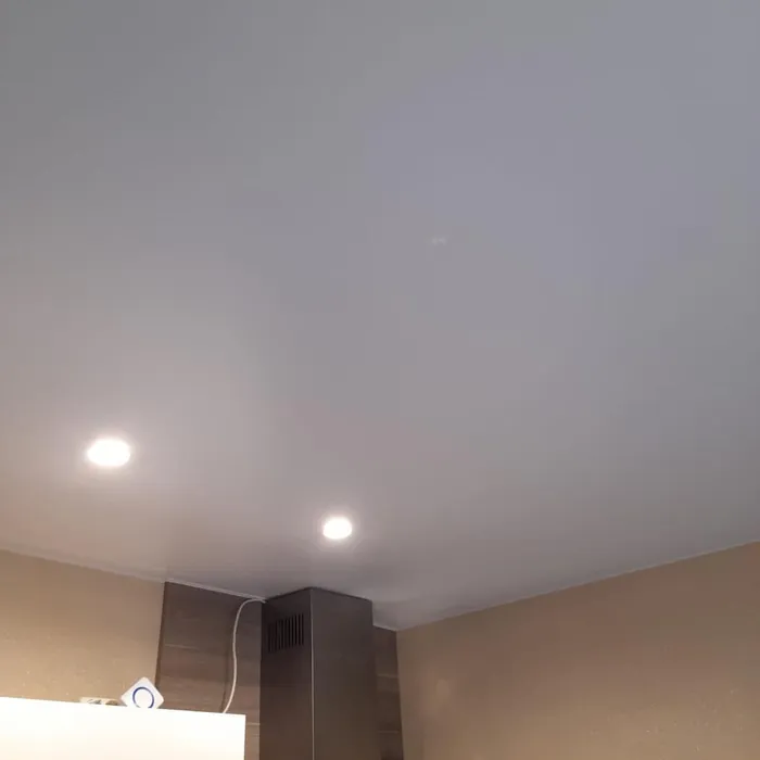 Wohnzimmer mit Spanndecke und Kamin